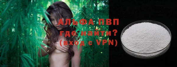 шишки Баксан