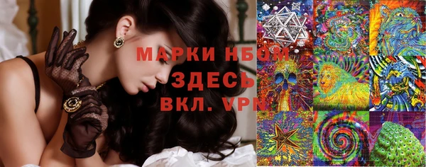 шишки Баксан