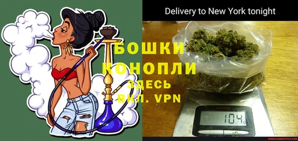 шишки Баксан