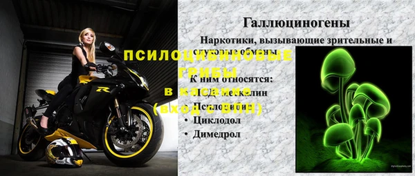 шишки Баксан