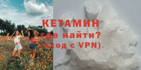 ПСИЛОЦИБИНОВЫЕ ГРИБЫ Тавда