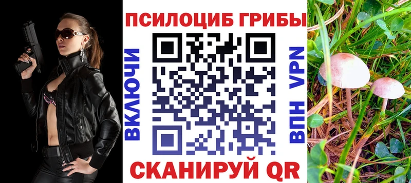 Псилоцибиновые грибы прущие грибы  Ершов 
